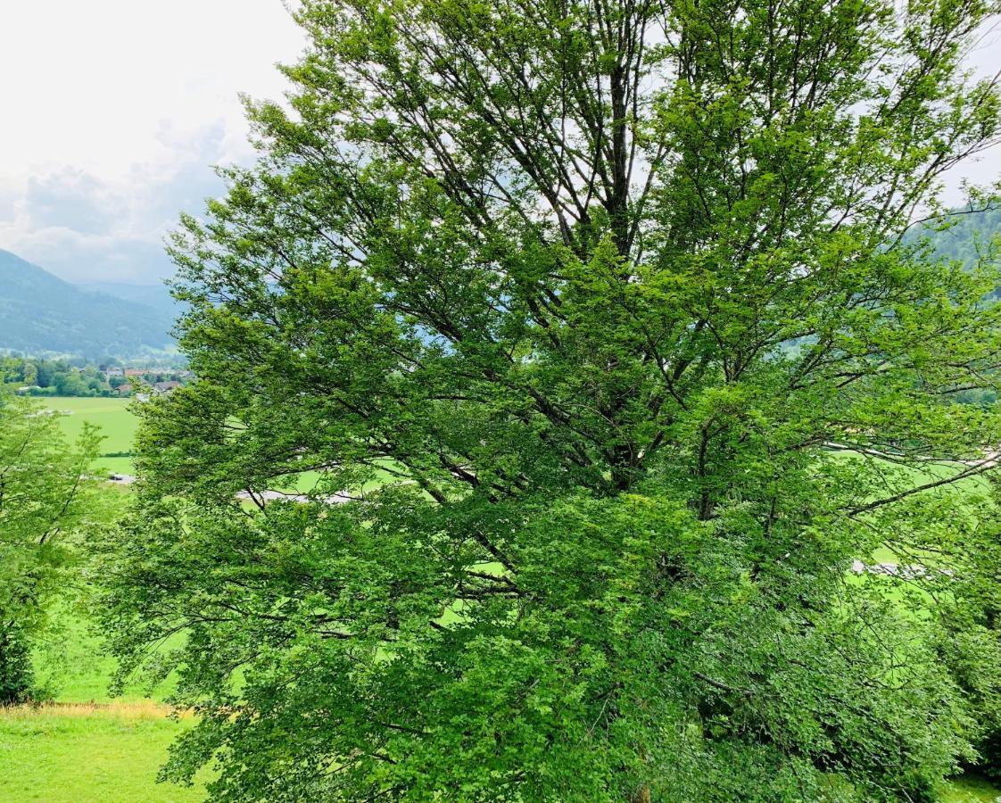 Buchenblick Apartman Strobl Kültér fotó